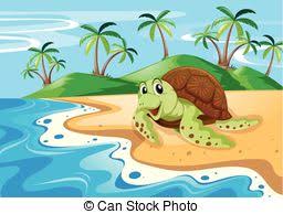 Tortue en vacances 2