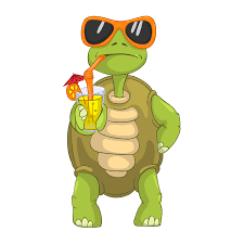 Tortue en vacances 3